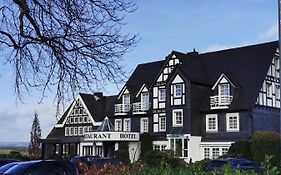 Hotel Albus